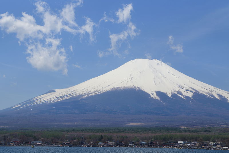 日本公司注册
